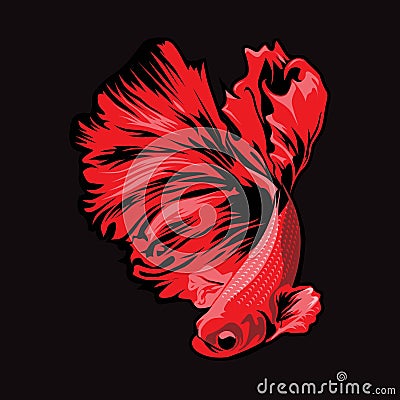 Betta fish are graceful and their colors are beautiful Vector Illustration