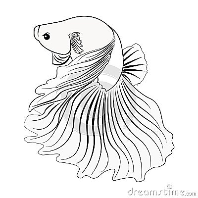 Betta fish or Siamese fighter, black and white hand drawn design in simple Vector Illustration