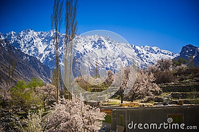 Beuatiful landscape of Northern Pakistan Stock Photo