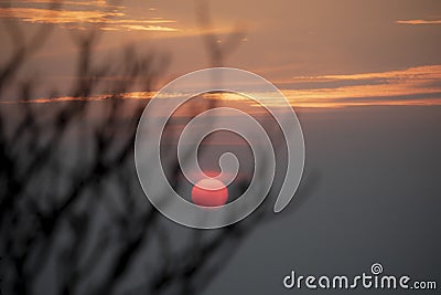 Beuatiful sunset sky through tree branch Stock Photo