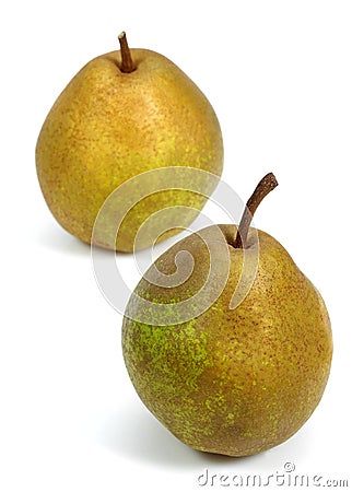 BEURRE HARDY PEAR pyrus communis AGAINST WHITE BACKGROUND Stock Photo