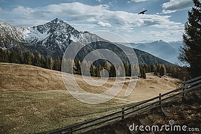 Beutiful mountain meadow with wooden fence around and breathtaking view to the valley with flying bird on cloudy sky Stock Photo