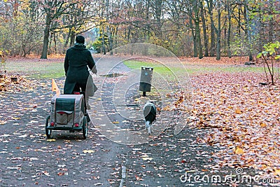 Beutiful Tiergarten Park in Belin with autumn foliage Editorial Stock Photo