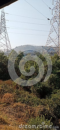 Beauty of nature and with electrical pol in the jungle area Stock Photo