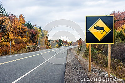 Beware of moose road sign in Algonquin Provincial Park, Ontario, Canada Stock Photo