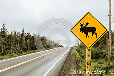 Watch out for moose. Warning yellow sign and Canadian highway Stock Photo