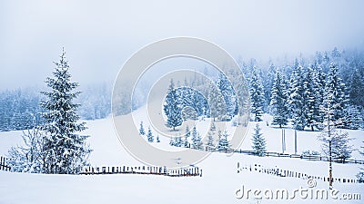 Bewitching winter picturesque landscape Stock Photo
