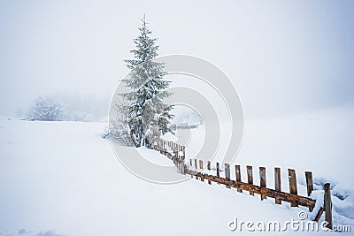 Bewitching winter picturesque landscape Stock Photo