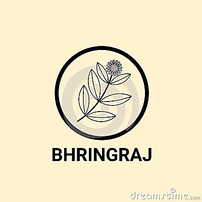 Bhringraj logo design, Eclipta Alba or Eclipta Prostrata, also known as False Daisy is an effective herbal medicinal plant in Ayur Vector Illustration