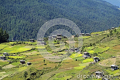 Bhutan, Haa valley Stock Photo