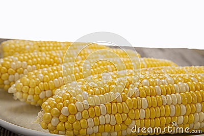 Bi-color sweet corn Stock Photo