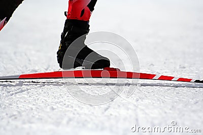Biathlon Stock Photo