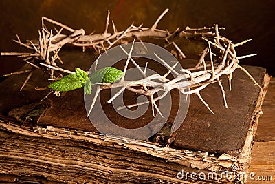 Bible and Easter crown Stock Photo