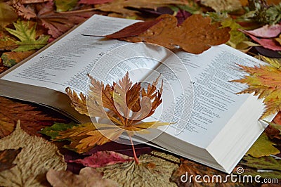 Bible between colorful autumn leaves Stock Photo