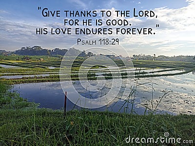 Bible verse inspirational quote - Give thanks to The Lord for He is good. His Love endures forever. Psalm 118:29 With field view Stock Photo