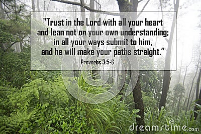 Bible verse quote - Trust in the Lord with all your heart and lean not on your own understanding, in all your ways submit to him Stock Photo