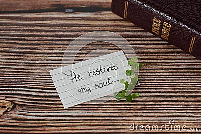 Biblical quote handwritten on lined paper with green plant and a closed holy bible book on wooden background Stock Photo