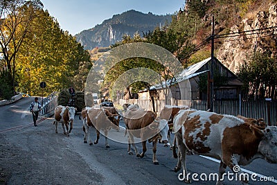 Bicaz Canyon, Neamt - Romania, Europe Editorial Stock Photo