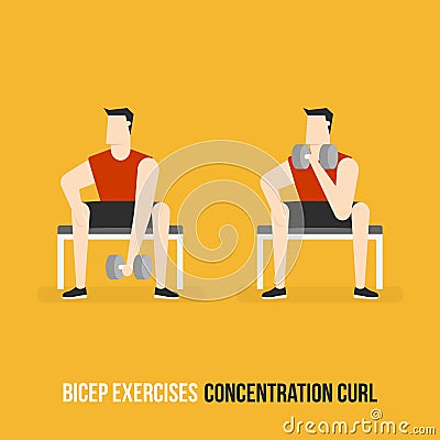 Bicep Exercises. Concentration Curl Vector Illustration