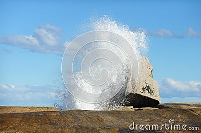 Bicheno Blow Hole Stock Photo