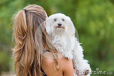 Bichon bolognese dog with beautiful in the park Stock Photo