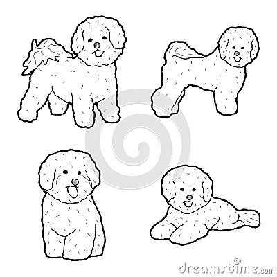 Bichon Frise Animal Vector Illustration Hand Drawn Cartoon Art Vector Illustration