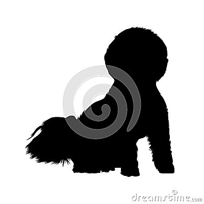 Bichon Frise On Front View, Dog Silhouette, France, Europe Vector Illustration