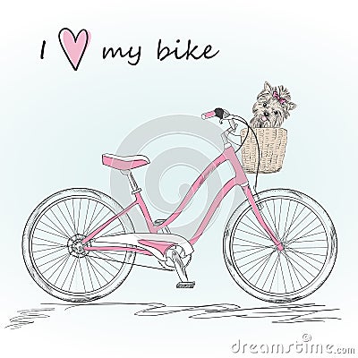 Bicycle with a basket full of flowers on background with butterflies and inscription I love my bike. Vector Illustration