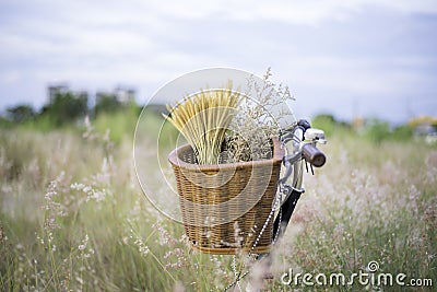 Bicycle with basket and guitar of flowers in meadow Stock Photo