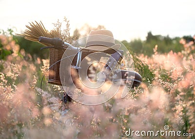 Bicycle with basket and guitar of flowers in meadow Stock Photo