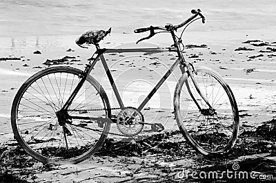 Bicycle on beach, Zanzibar Stock Photo