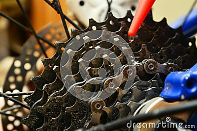 Bicycle cogwheel Stock Photo