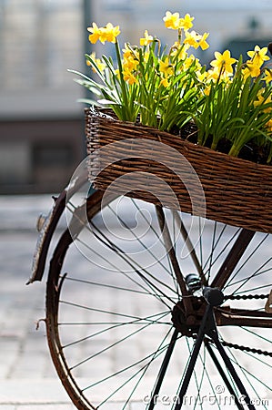 Bicycle with flowers Stock Photo