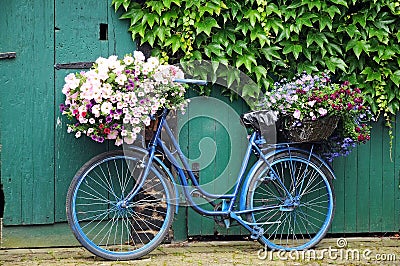 Bicycle with flowers Stock Photo