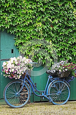 Bicycle with flowers Stock Photo