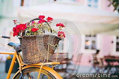 Bicycle with flowers Stock Photo