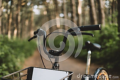 Bicycle on a forest path, active lifestyle, outdoor sports. Stock Photo
