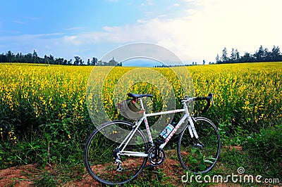 Bicycle in the garden Editorial Stock Photo