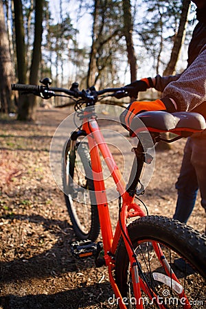 Bicycle with orange frame in the forest on the highway. Stock Photo