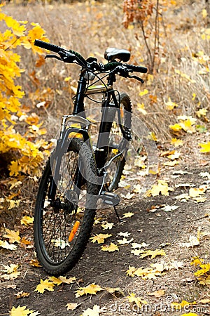 The bicycle on a parh. Stock Photo