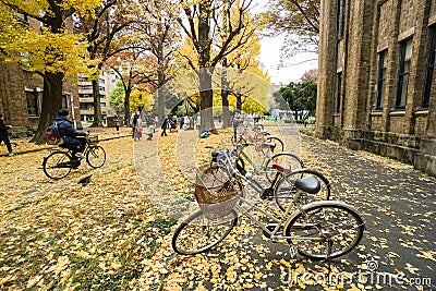 Bicycle at the park in autumn taken at Tokyo University Editorial Stock Photo