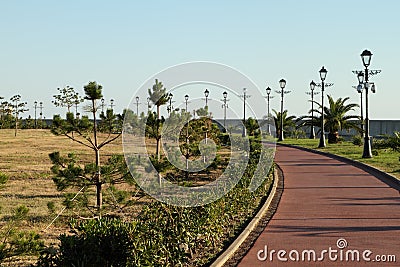 Bicycle path surrounded by tropical plants Stock Photo