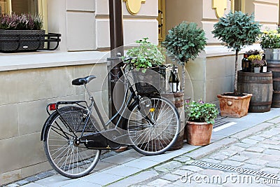 Bicycle in the paved street Stock Photo
