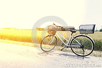 Bicycle on the road in front of the rice field farm in nature, relex conceptm vintage tone Stock Photo