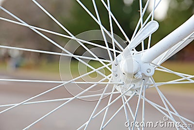 Bicycle Spokes Connected to Axle Stock Photo