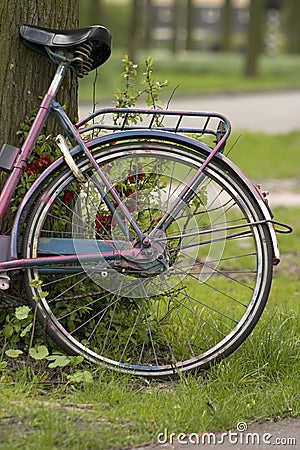 Bicycle tire Stock Photo