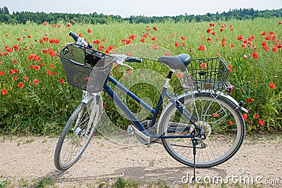 Bicycle tour on country lanes along faded rapeseed fields with poppies Stock Photo