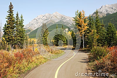 Bicycle trail Stock Photo