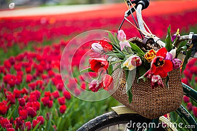 Bicycle with weaved basket Stock Photo