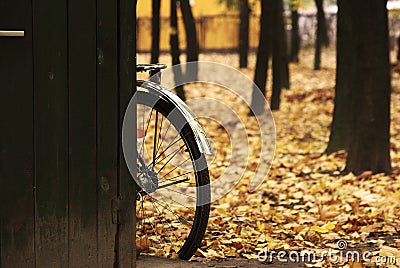 Bicycle wheel Stock Photo